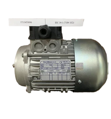 electric motor